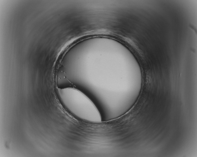 X0000101661364200807101015