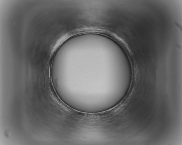 X0000101661365200807101015