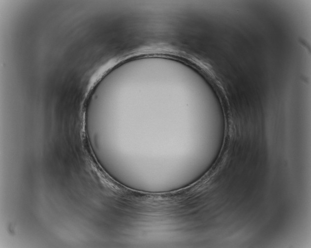 X0000101661366200807101015