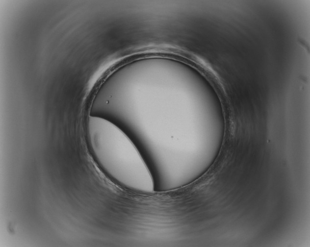 X0000101661368200807101015