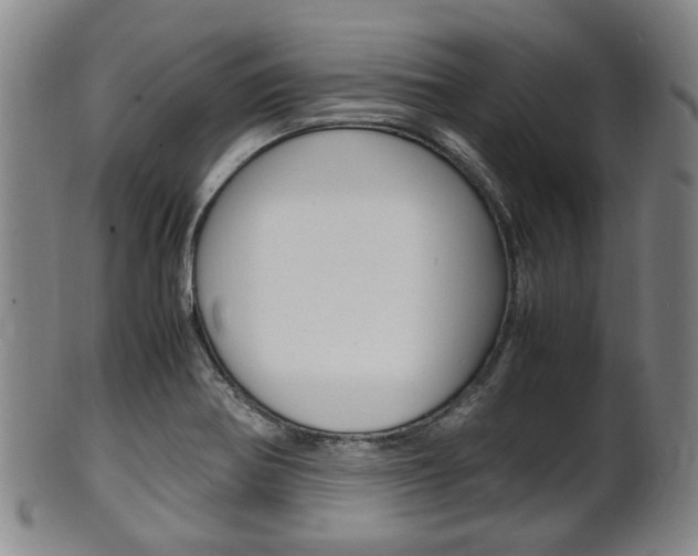 X0000101661370200807101015