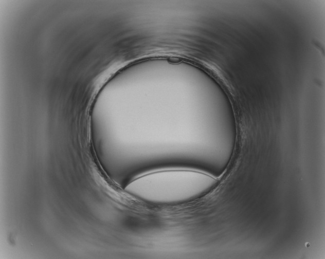 X0000101661371200807101015