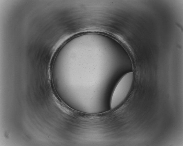 X0000101661372200807101015