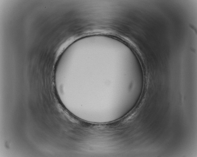X0000101661373200807101015