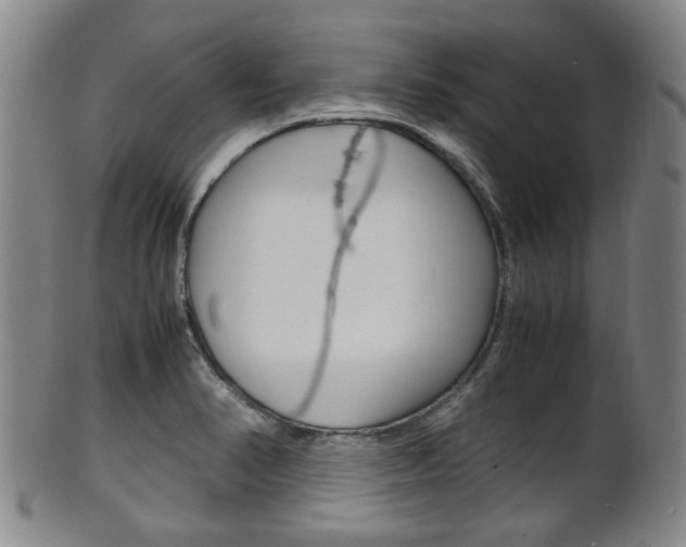 X0000101661374200807101015