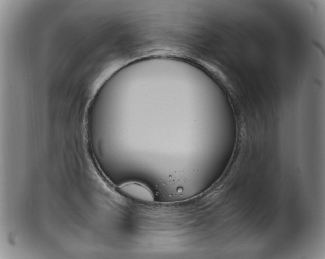 X0000101661375200807101015