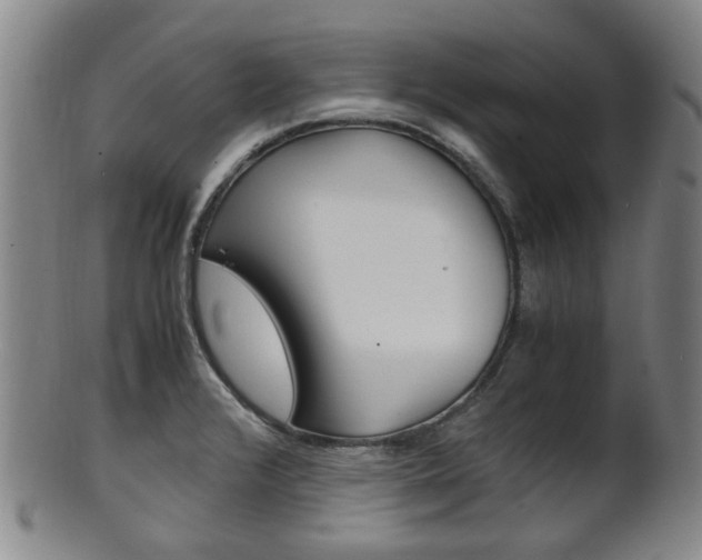 X0000101661376200807101014