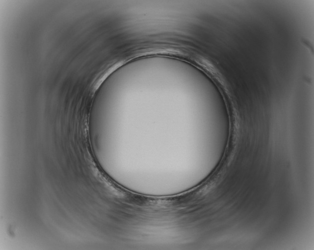 X0000101661377200807101014