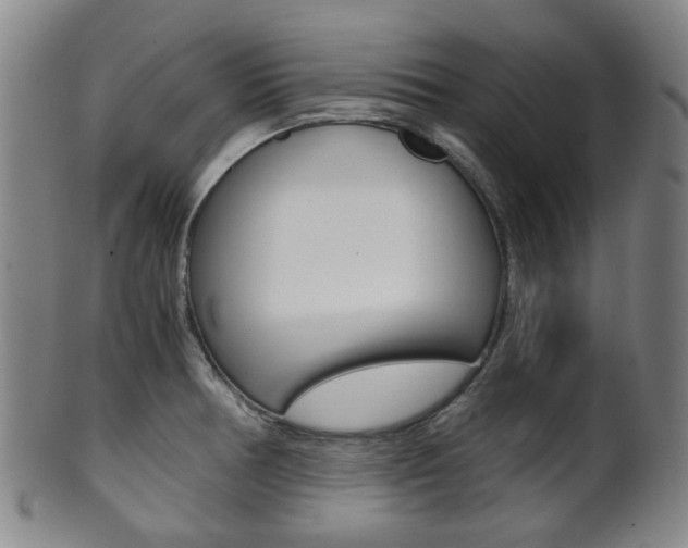 X0000101661378200807101014