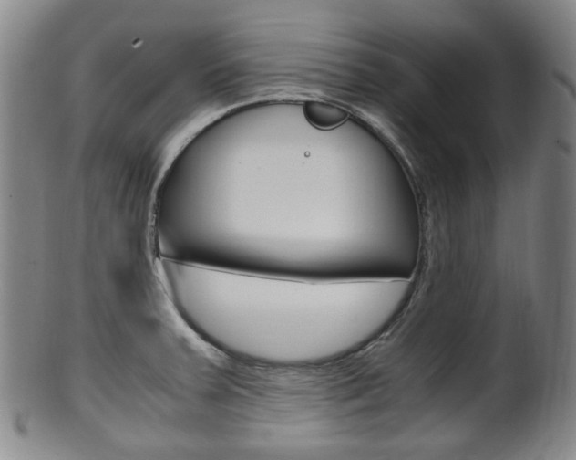 X0000101661379200807101014