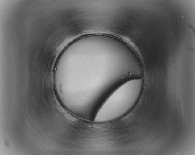 X0000101661380200807101014