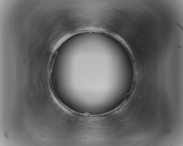 X0000101661381200807101014