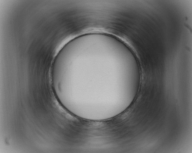 X0000101661382200807101014