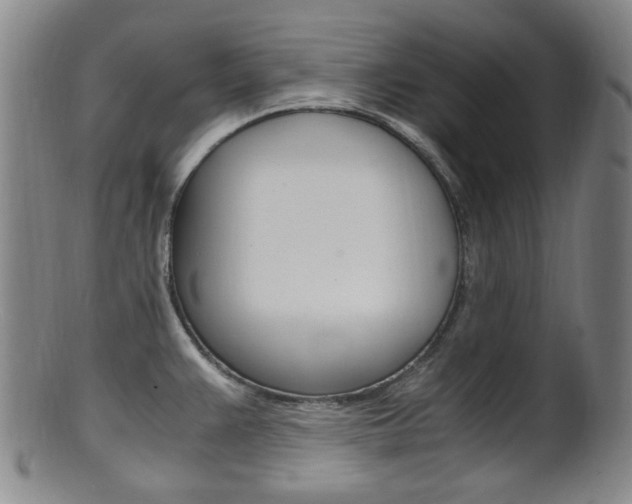 X0000101661383200807101014