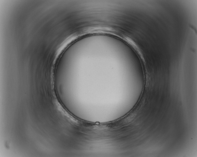 X0000101661384200807101014