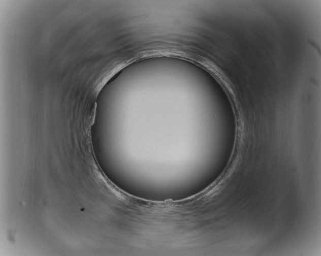 X0000101661385200807101014