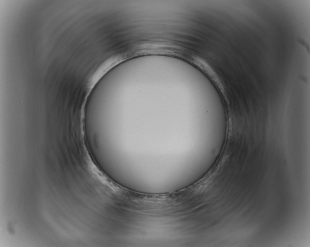 X0000101661386200807101014