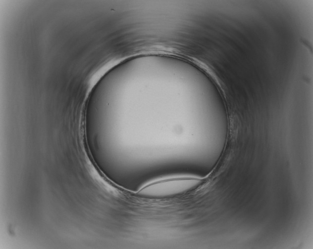 X0000101661387200807101014
