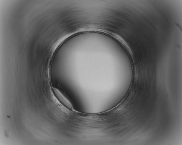 X0000101661388200807101014