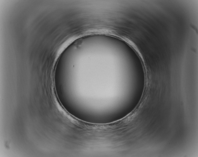 X0000101661389200807101014