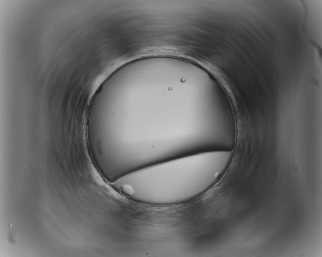 X0000101661390200807101014