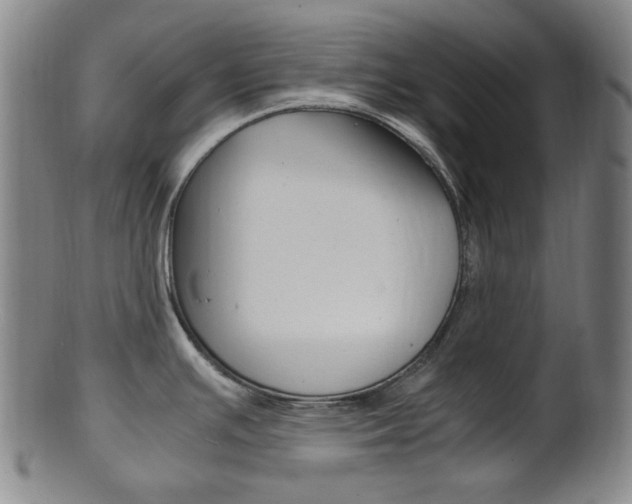 X0000101661391200807101014