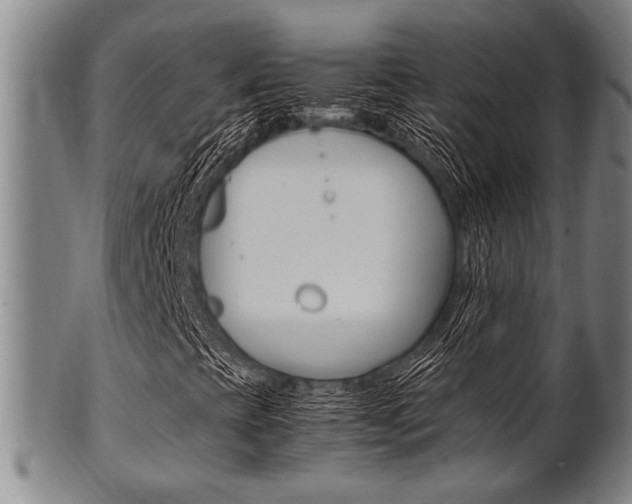 X0000101661393200807101013