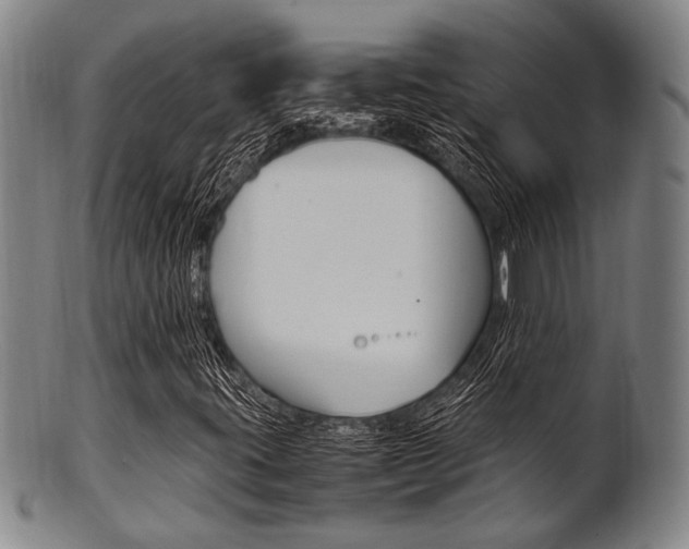 X0000101661395200807101013