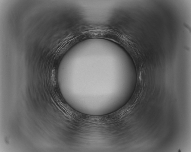 X0000101661396200807101013