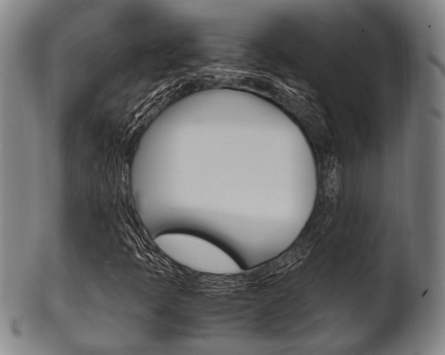 X0000101661397200807101013