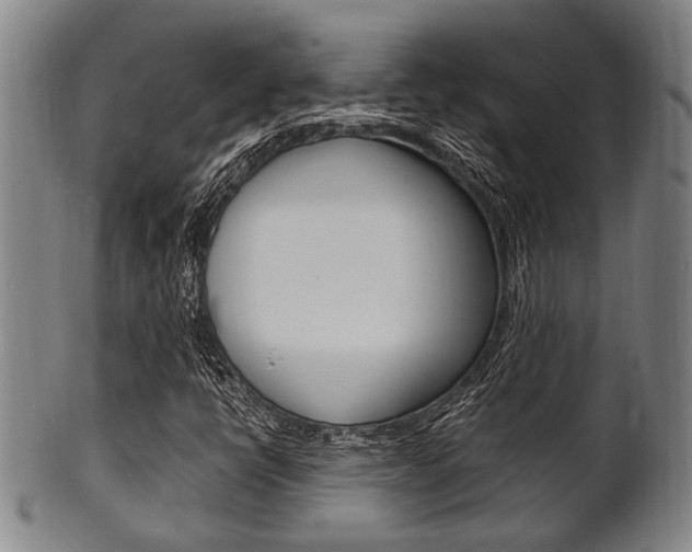 X0000101661398200807101013
