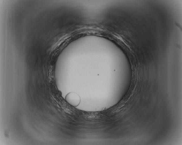 X0000101661399200807101014