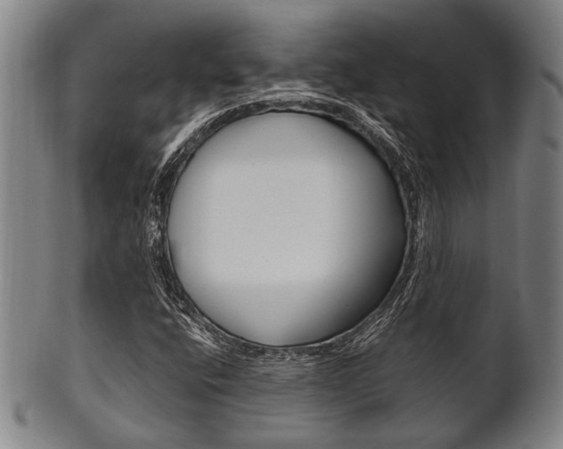 X0000101661400200807101014