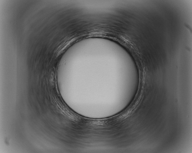X0000101661401200807101014