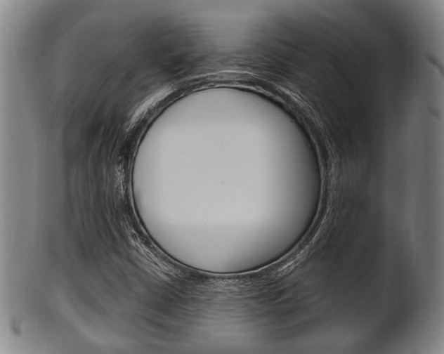X0000101661402200807101014