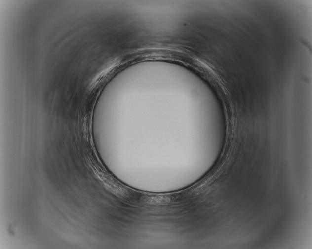 X0000101661403200807101014