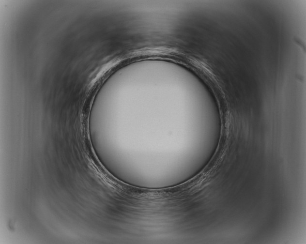 X0000101661404200807101014