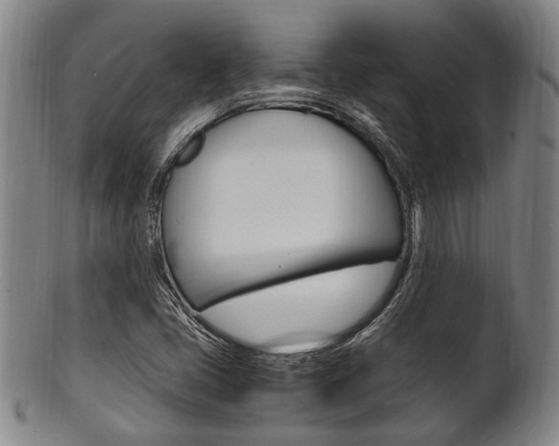 X0000101661405200807101014