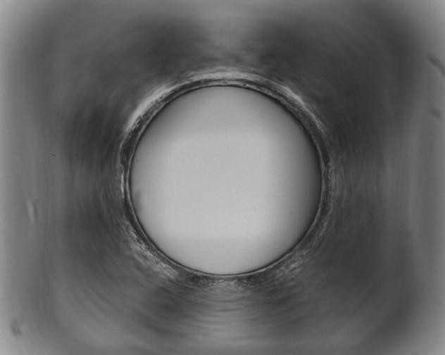 X0000101661408200807101014