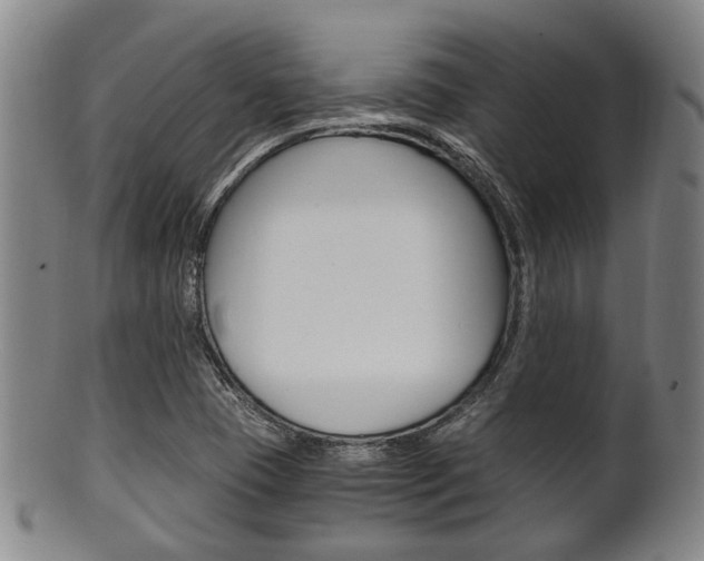 X0000101661409200807101014