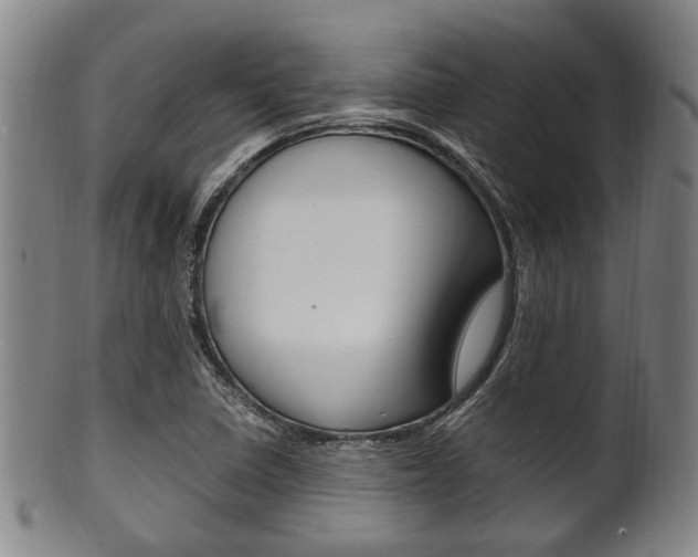 X0000101661410200807101014