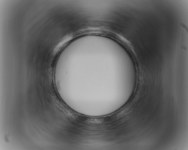 X0000101661411200807101014