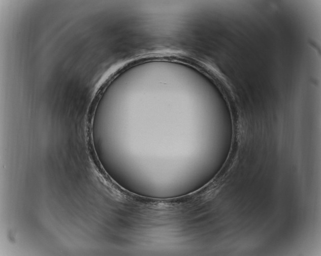 X0000101661412200807101014