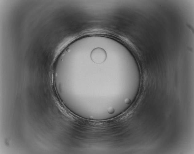 X0000101661413200807101014