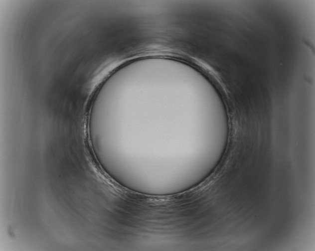 X0000101661415200807101014