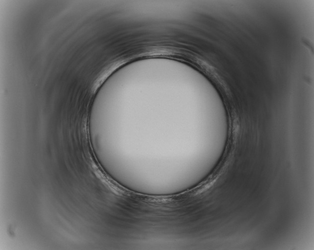X0000101661417200807101014