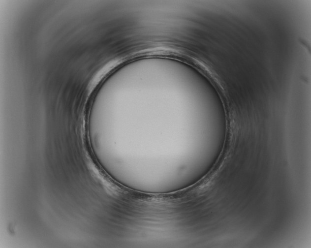 X0000101661418200807101014
