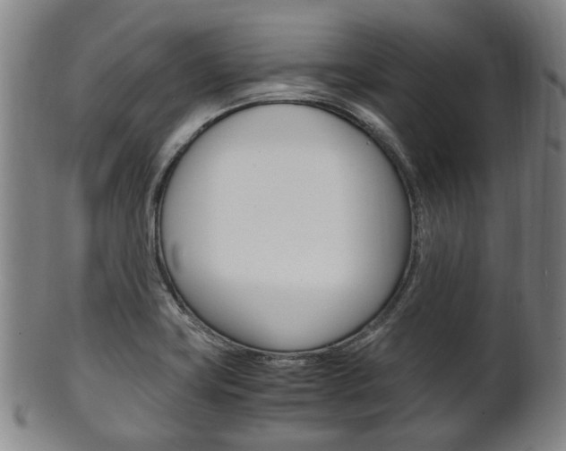 X0000101661419200807101014