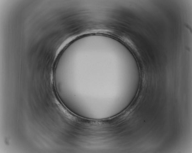 X0000101661420200807101014