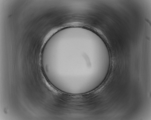 X0000101661421200807101014